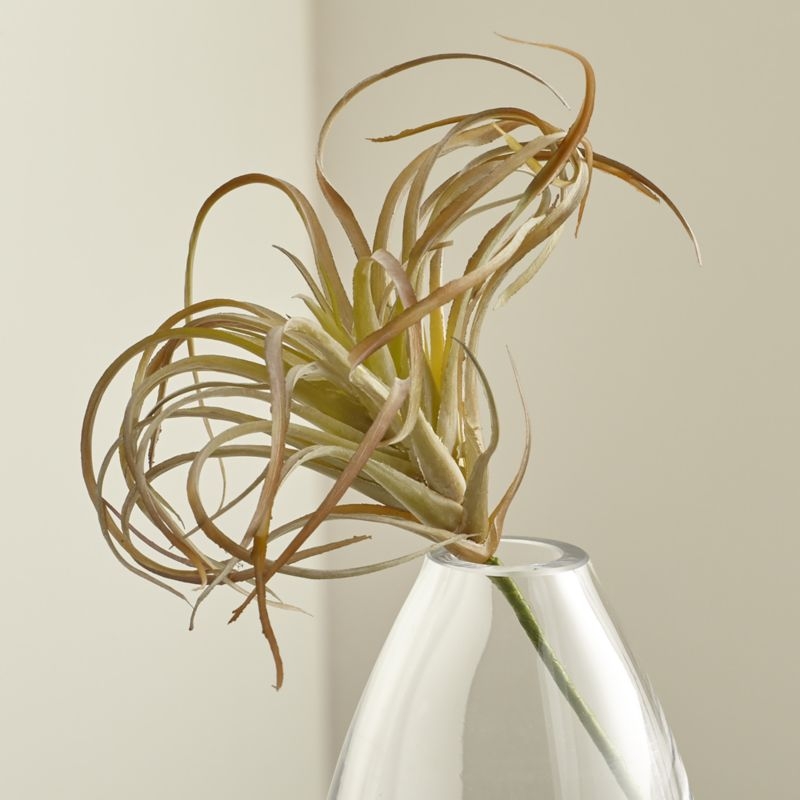 Tillandsia Curly Faux Succulent Stem - Image 1
