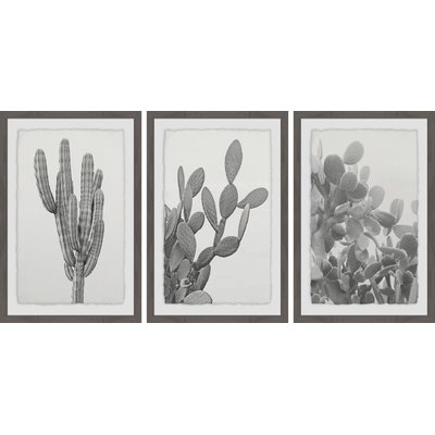 'Cactus Variety Triptych' 3 Piece Framed Photographic Print Set - Image 0