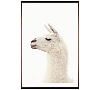 Llama by Jennifer Meyers, 28 x 42", Wood Gallery, Espresso, Mat - Image 0