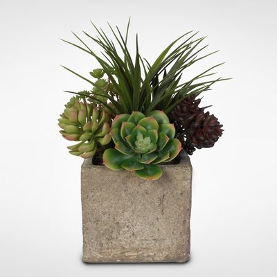 Artificial Desktop Succulent and Grass Arrangement Plant in Pot - Image 0