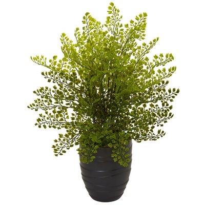 Artificial Maiden Hair Fern Floor Foliage Plant in Pot - Image 0
