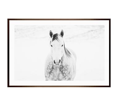 Winter White Horse by Jennifer Meyers, 28 x 42", Wood Gallery, Espresso, Mat - Image 0