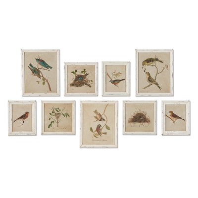 'Aviary Bird & Nest Habitat' Picture Frame Print Set - Image 0