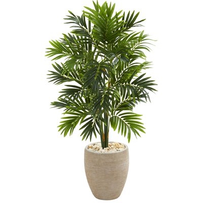 Areca Floor Palm Tree in Planter - Image 0