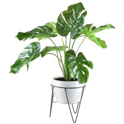 Monstera Foliage Plant in Pot (faux) - Image 0