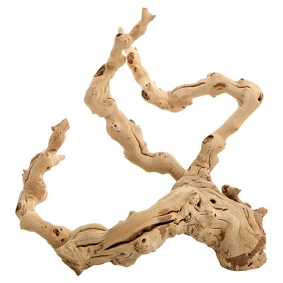 Preserved Grapewood Branch - Image 0