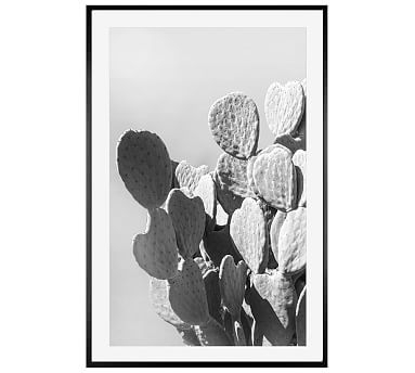 Monochrome Desert Cactus Framed Print by Jane Wilder, 28 x 42", Wood Gallery Frame, Black, Mat - Image 0