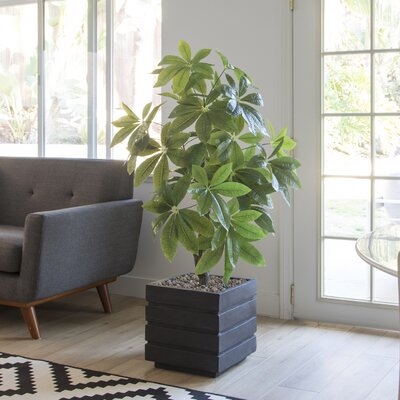 34" Real Touch Indoor/Outdoor Pachira Aquat Tree in Planter - Image 0
