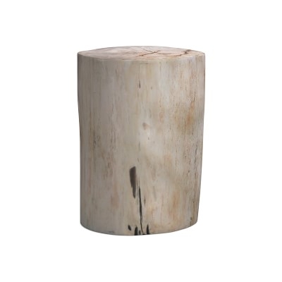 Petrified Wood Side Table, Wood, White - Image 0