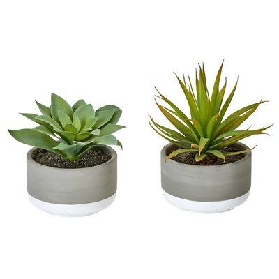 2 Piece Desktop Succulent Plant in Pot Set (Set of 2) - Image 0