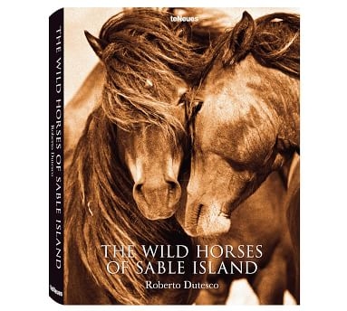 The Wild Horses Of Sable Island Book - Image 2