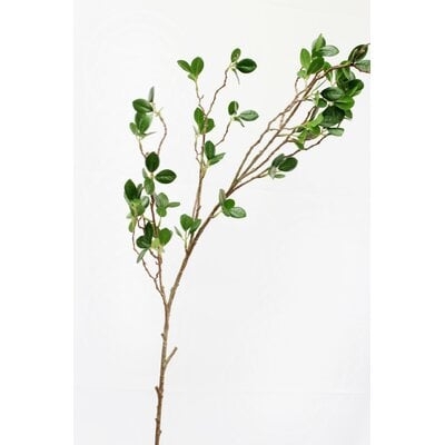 Greenery Real Touch Aglaia Odorata Plant - Image 1