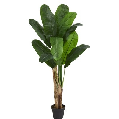 Double Stalk Banana Leaf Tree in Planter - Image 0