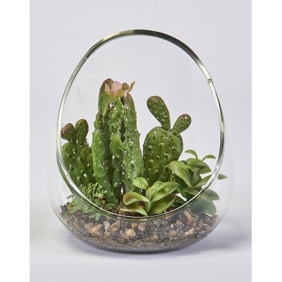 Cactus & Succulent in Glass Vase - Image 0
