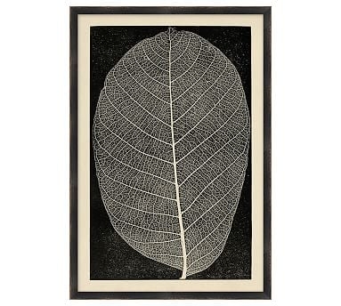 Leaf Detail 4 - 15 x 22 - Image 0