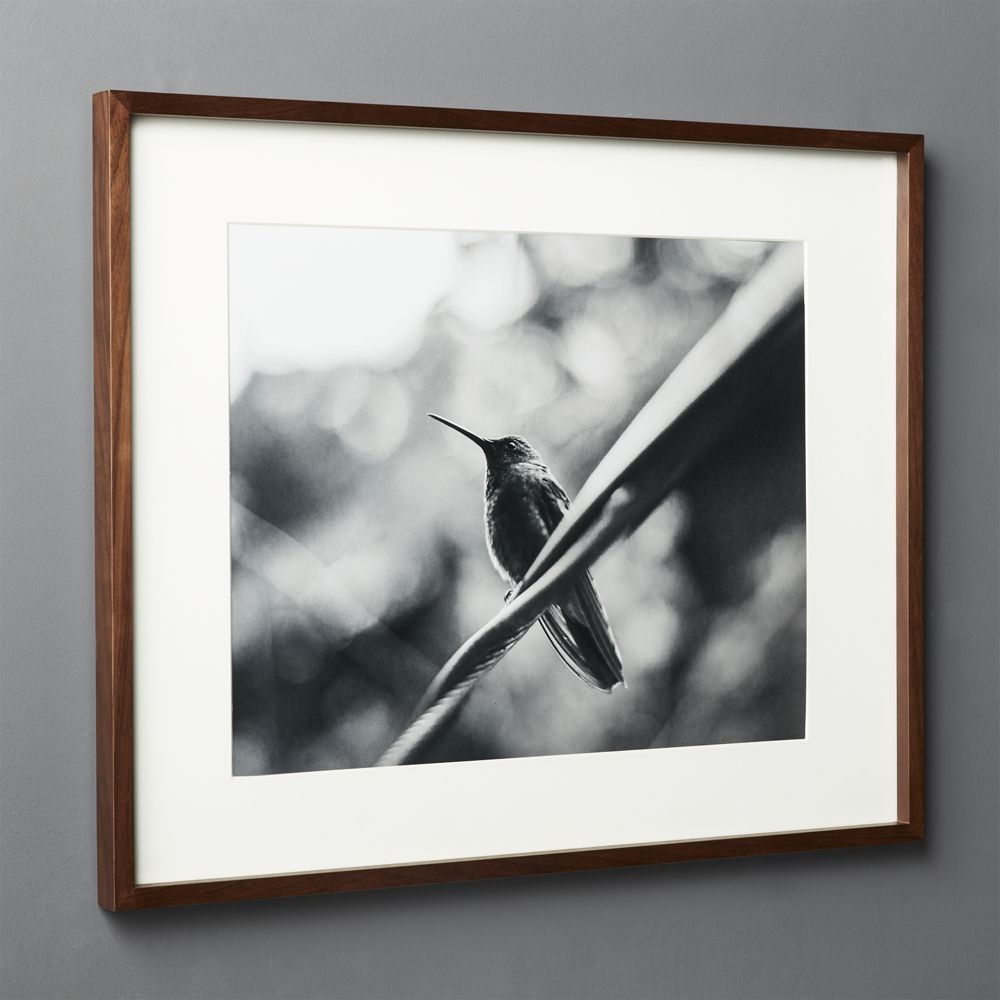 Gallery Walnut Frame with White Mat 16x20 - Image 0