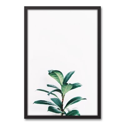 'Fig Tree' Framed Photograph On Canvas - Image 0