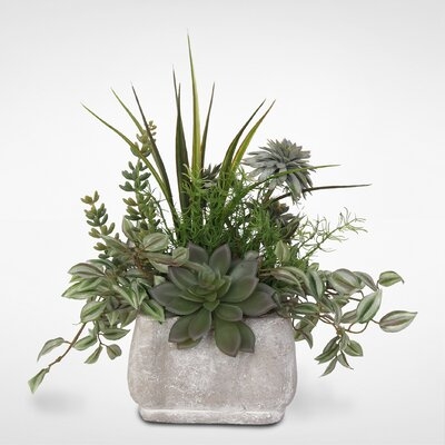 Assorted Artificial Aloe Succulent in Pot - Image 0