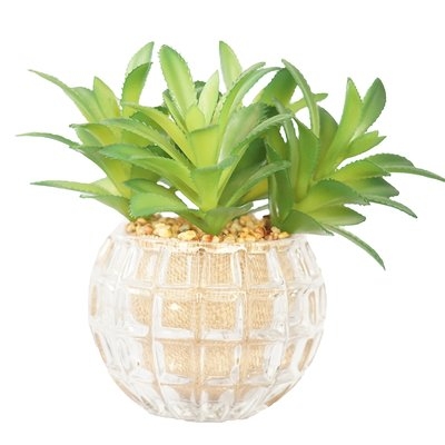Desktop Succulents Grass in Decorative vase - Image 0