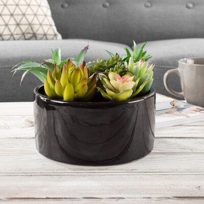 7 Piece Assorted Faux Agave Succulent in Pot Set - Image 0
