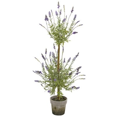 Lavender Tree in Planter - Image 0