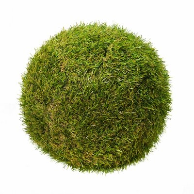 Ball Ornament Foliage Grass - Image 0