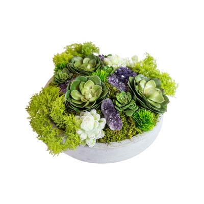 Succulents in Concrete Bowl - Image 0
