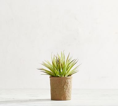 Faux Potted Spiky Succulent - Image 0