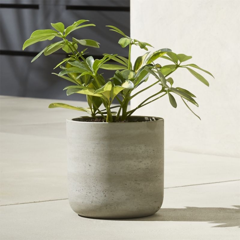 Seminyak Grey Cement Indoor/Outdoor Planter XL - Image 3