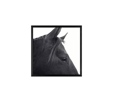 Dark Horse in Profile Framed Print by Jennifer Meyers, 18 x 18", Wood Gallery Frame, Black, No Mat - Image 2