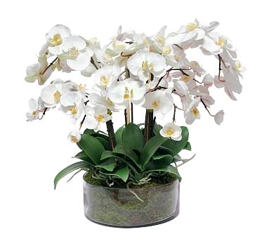 Faux Phalaenopsis In Open Glass Vase, White - Image 0