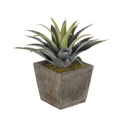 Artificial Star Succulent Desk Top Plant in Pot - Image 0