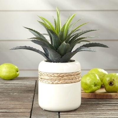 Faux Star Succulent Plant in Planter in Planter - Image 0