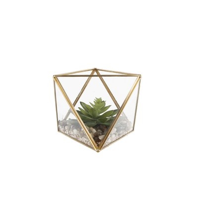 Desktop Succulent Plant in Glass Terrarium - Image 0