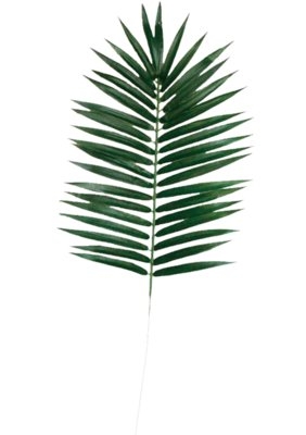 Faux Palm Leaf (Set of 6) - Image 0
