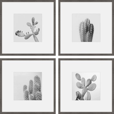 'Cacti Types Quadriptych' 4 Piece Framed Graphic Art Print Set on Paper - Image 0