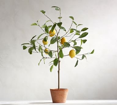 Faux Potted Lemon Tree - Large - Image 1