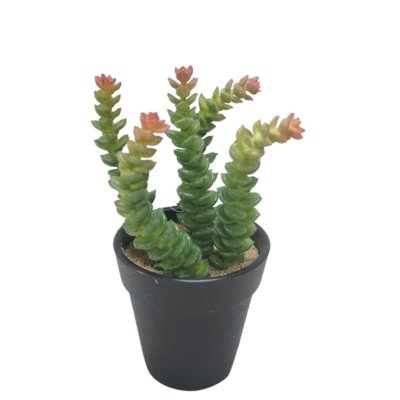 Faux Desktop Succulent Plant in Pot - Image 0