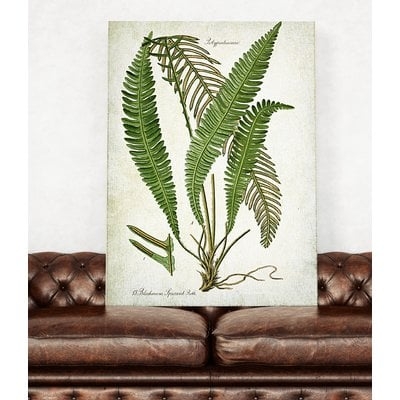 'Botanical Plate XXI' Graphic Art Print on Wrapped Canvas - Image 0