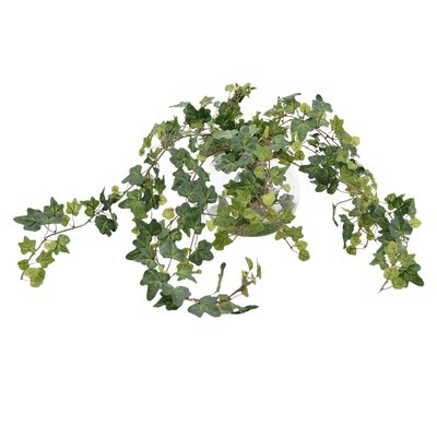 Ivy Plant in Vase - Image 0