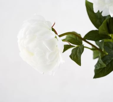 Faux Peony Stems - White - Image 1