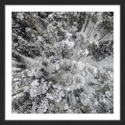 'Tall and Cold' Framed Photographic Print - Image 0