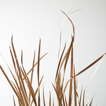Dried Wild Grass - Image 1