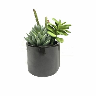 8'' Faux Succulent Plant in Cement Pot - Image 0