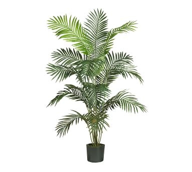 Faux Paradise Palm, 5' - Image 1