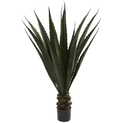Giant Agave Floor Plant in Pot - Image 0