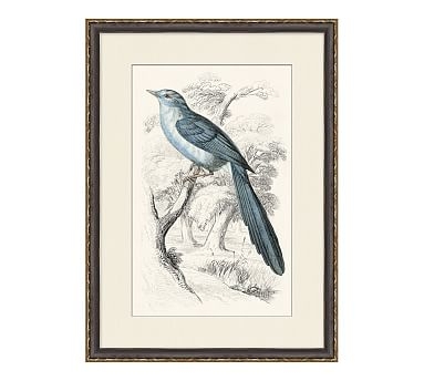 Traditional Bird Paper Print #2, 22 x 30" - Image 0