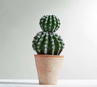 Faux Potted Double Ball Cactus - Image 0