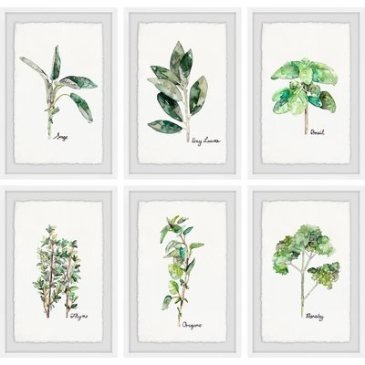 'Herb Family II Hexaptych' 6 Piece Framed Watercolor Painting Print Set - Image 0