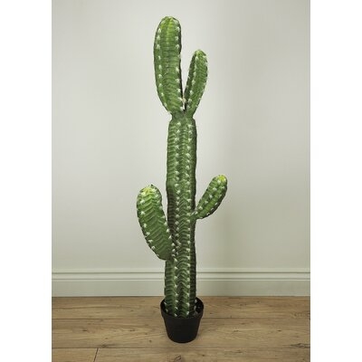 Faux Botanical Cactus Succulent - Image 0